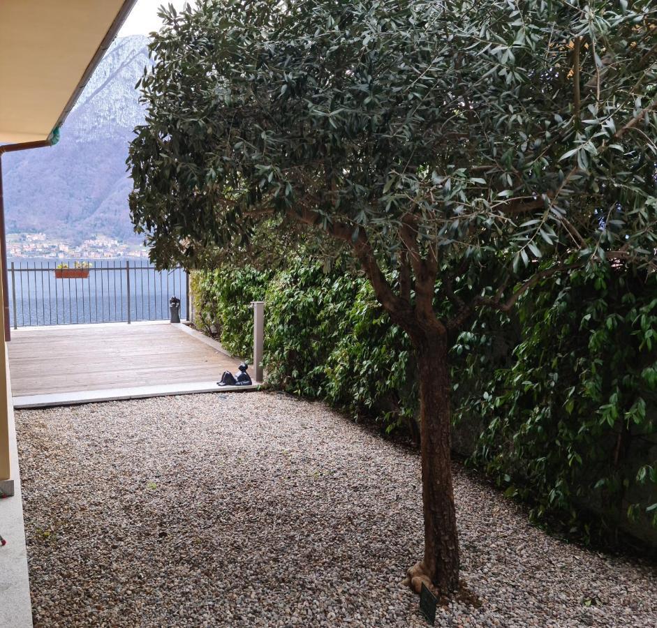 Colonno Panoramica Lago Di Como ภายนอก รูปภาพ